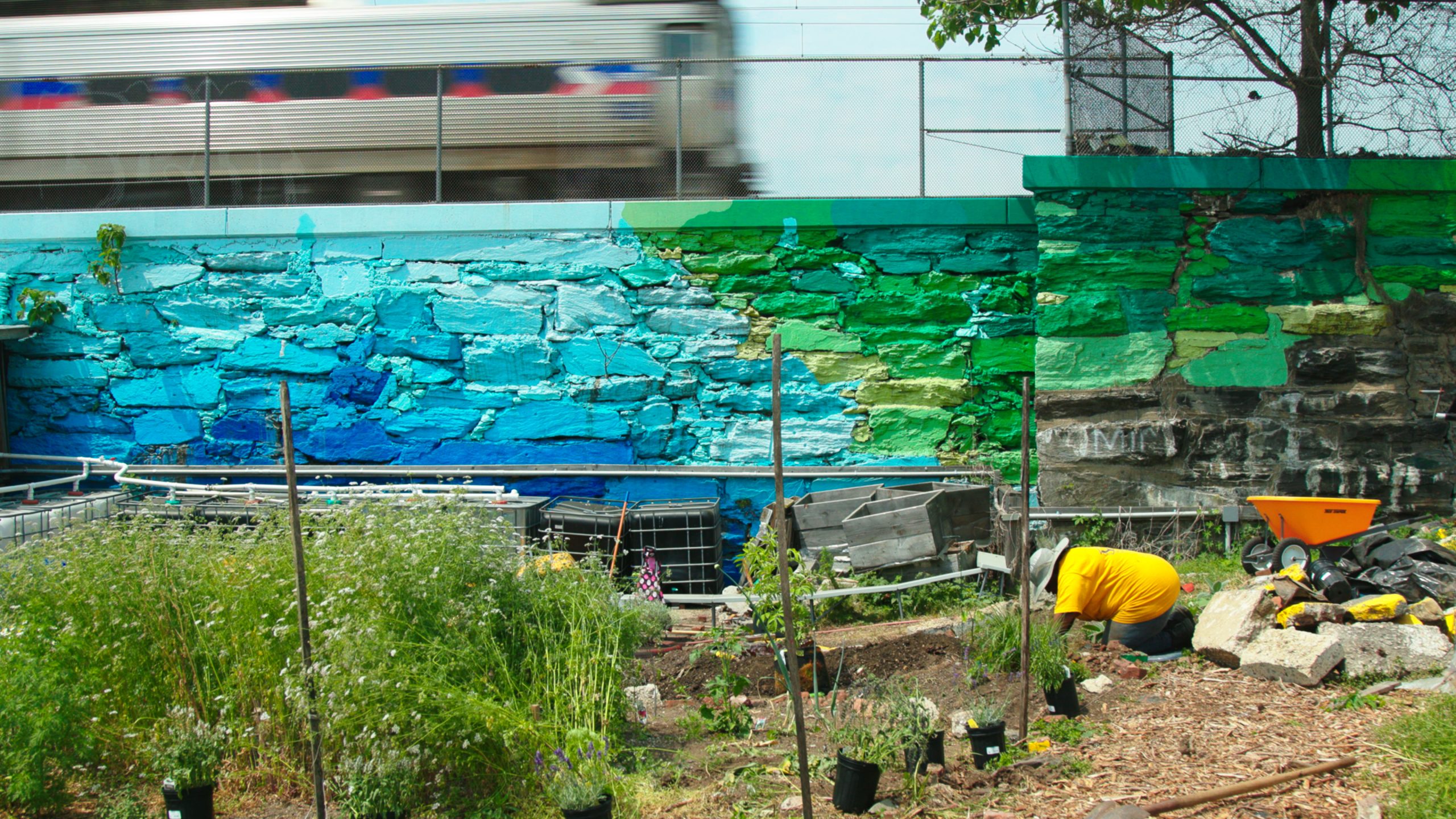 Succulent city film still of wall and garden